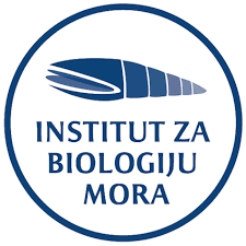 Mirko Djurovic